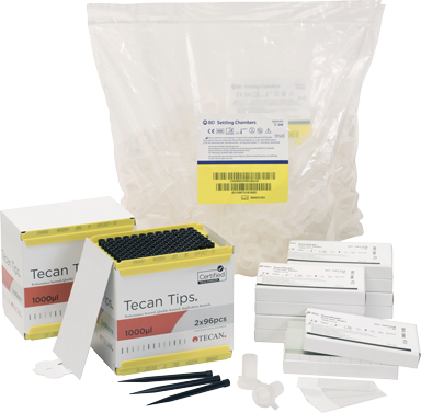 CAREERING PLACEBO301 （YW） PLACEBO 301 (YW) | CAREERING - Official online store