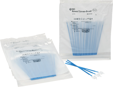 ROVERS CERVEX BRUSHES, 500 EA - 491461 | BD