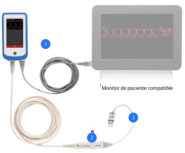 VitaWave Plus System blood pressure display
