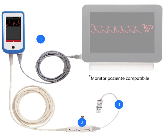 <p>Sistema VitaWave™ Plus. Progettato per la precisione.</p>
