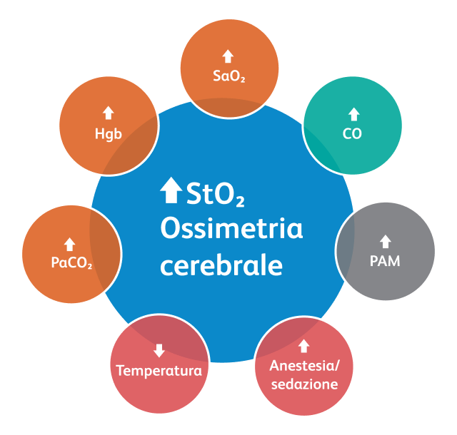 Diagram of cerebral oximetry influencing factors