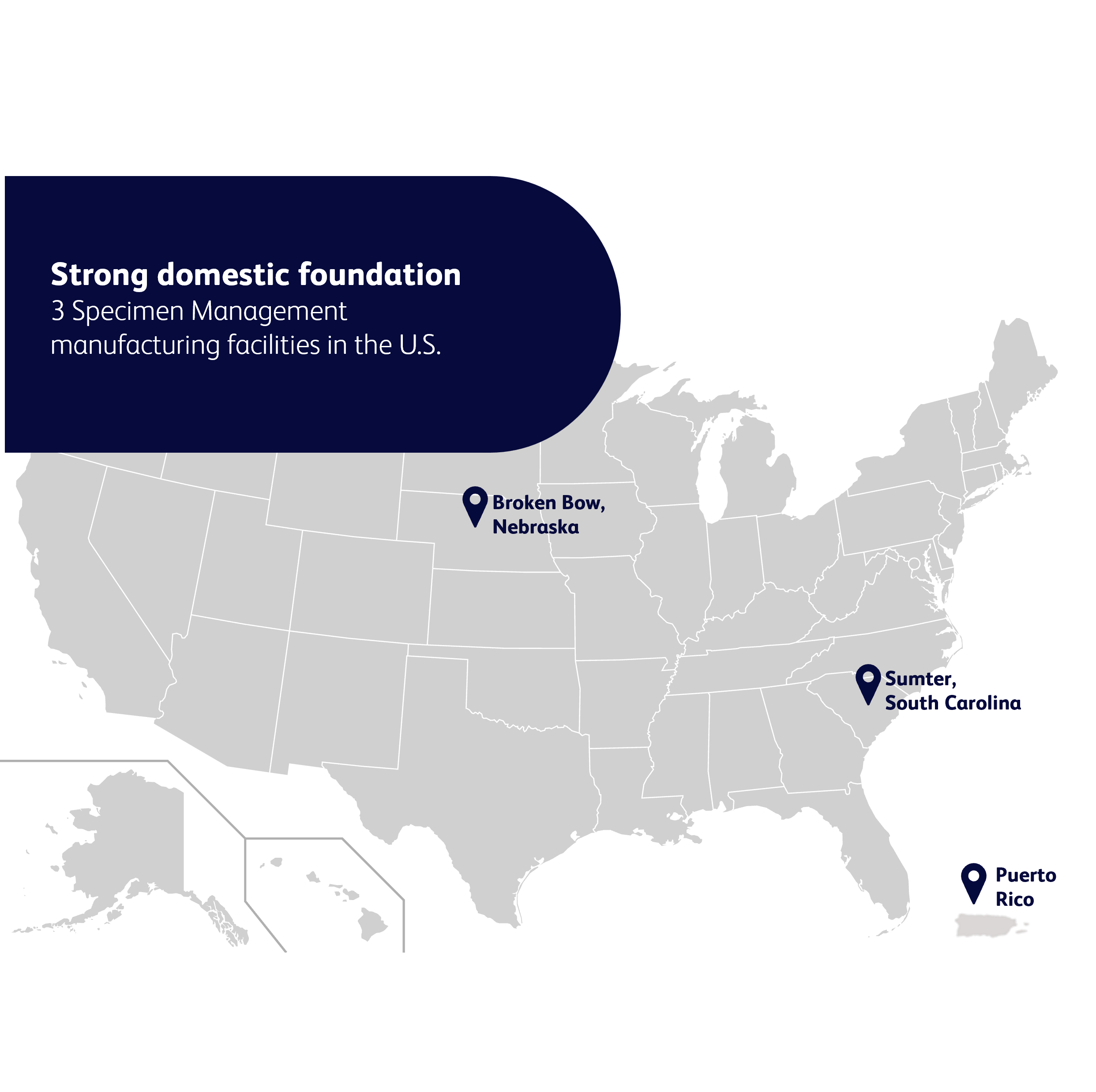 Strong domestic foundation