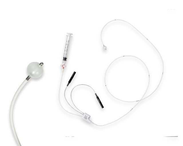 <p>Bipolar Pacing Catheters</p>
