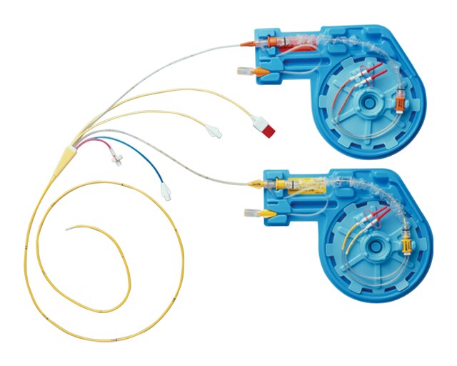 <p>Thermodilution Paceport™ Catheter</p>
