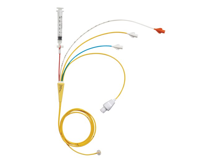 <p>Pacing-TD catheters</p>
