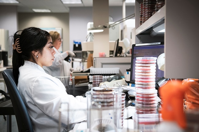 <h3><span style="font-weight: bolder;">Robust, customizable data management</span></h3>
