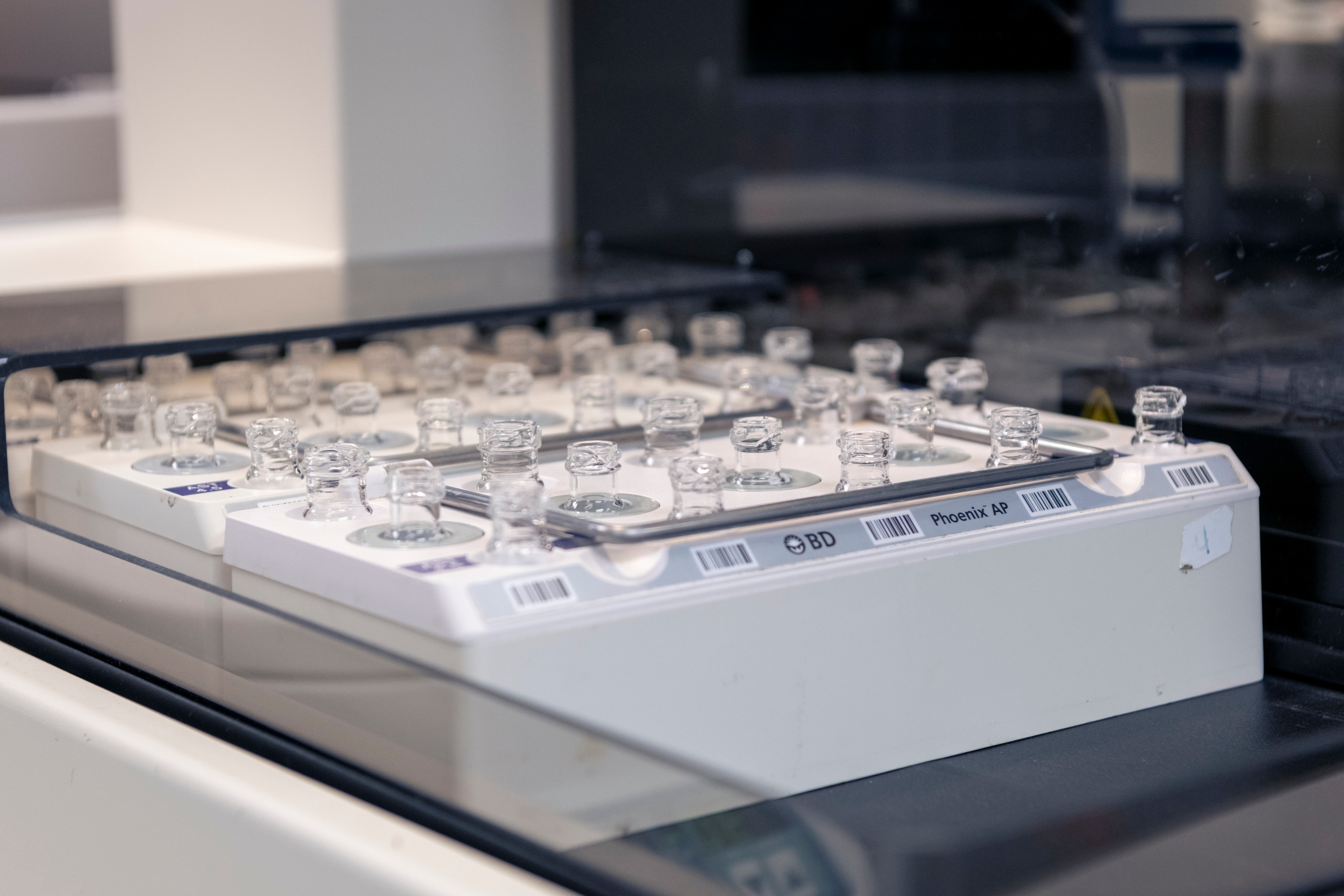 BD Phoenix™ AP instrument BD