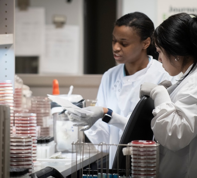 <p><b>On-panel true doubling dilutions </b></p>
