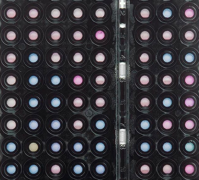 Close up view of the wells on a BD Phoenix™ panel