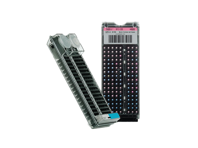 phoenix_emerge-image-644x480