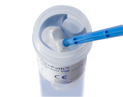 オーセレックス® ブラシRT | BD