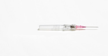 ガツン、16 h4CBH CRDP CNP THXE CRDh HHBd cbd BD Insyte™ Autoguard™ shielded IV catheter | BD