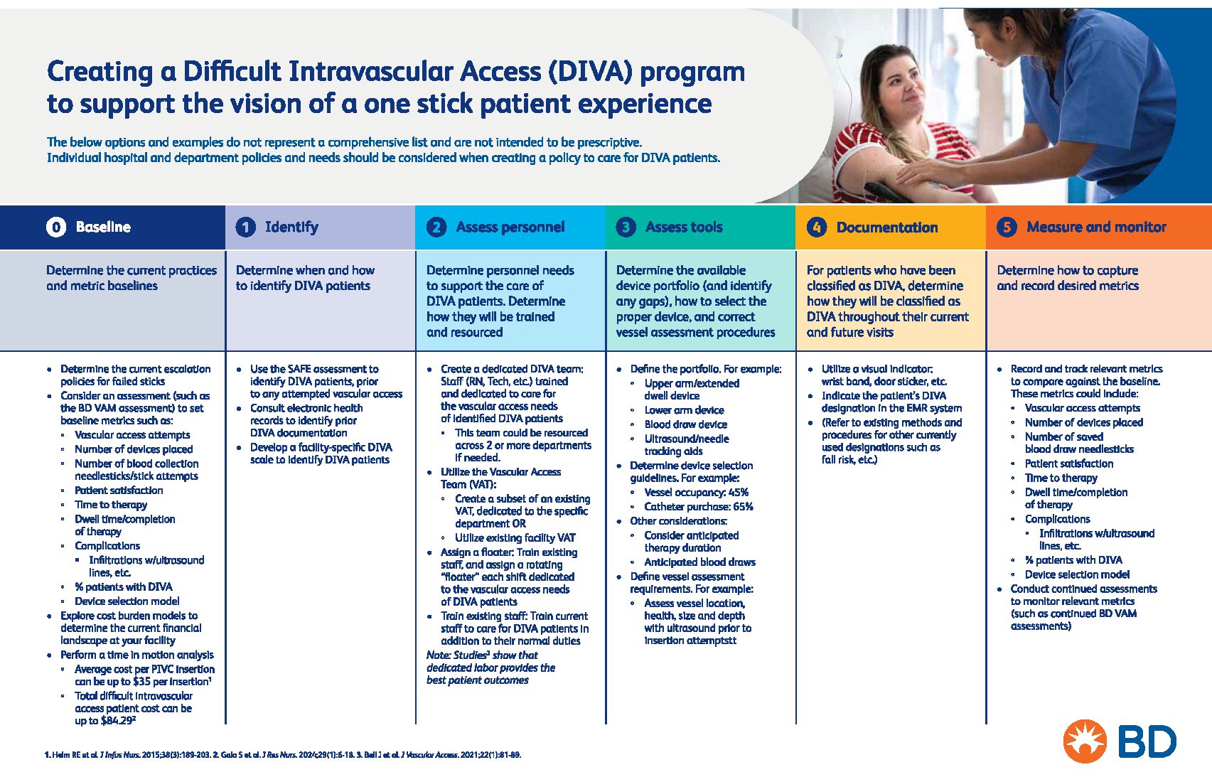 DIVA Program Vision plan