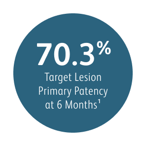 <h4>6-Month</h4>
<p><span class="headline3-richtext">Target Lesion Primary Patency (TLPP)&nbsp;</span></p>
