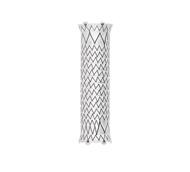 <h2 style="text-align: center;"><a>Straight Configuration</a></h2>

