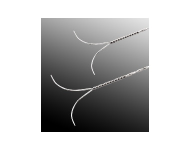 Bard® DuaLok™ Breast Lesion Localization Wires