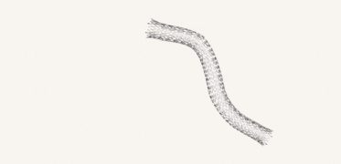 その他 VSLAB VSNOVA N14 Venovo™ Venous Stent System