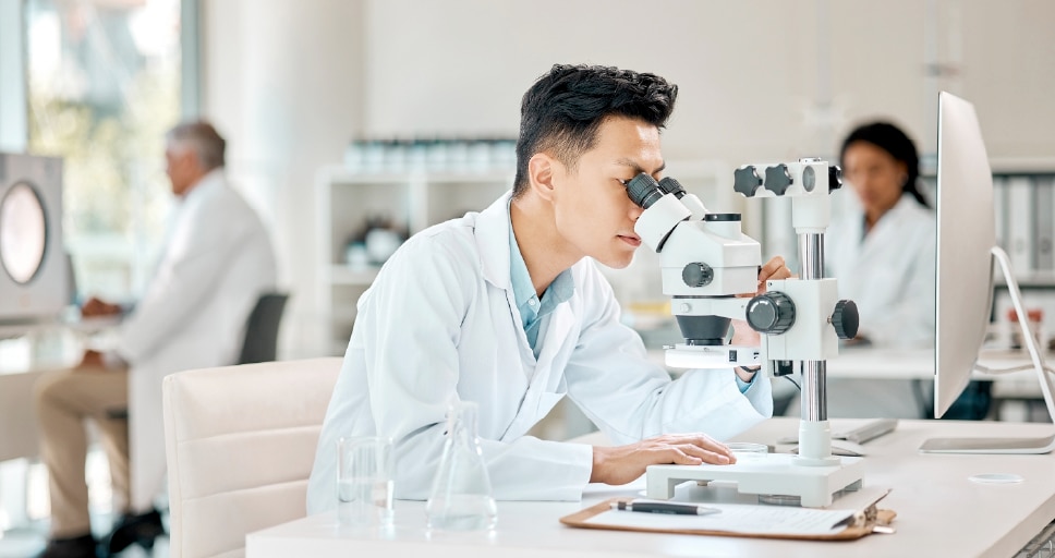 For Gabriel - Image Opt Templateai