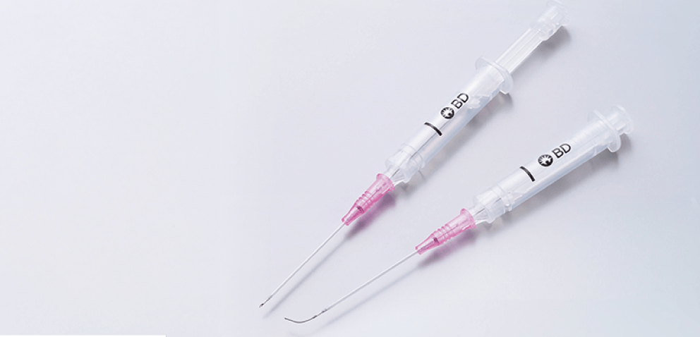 龍脈の精髄 ― 針状クラスター「透明なる守護」保護猫活動支援