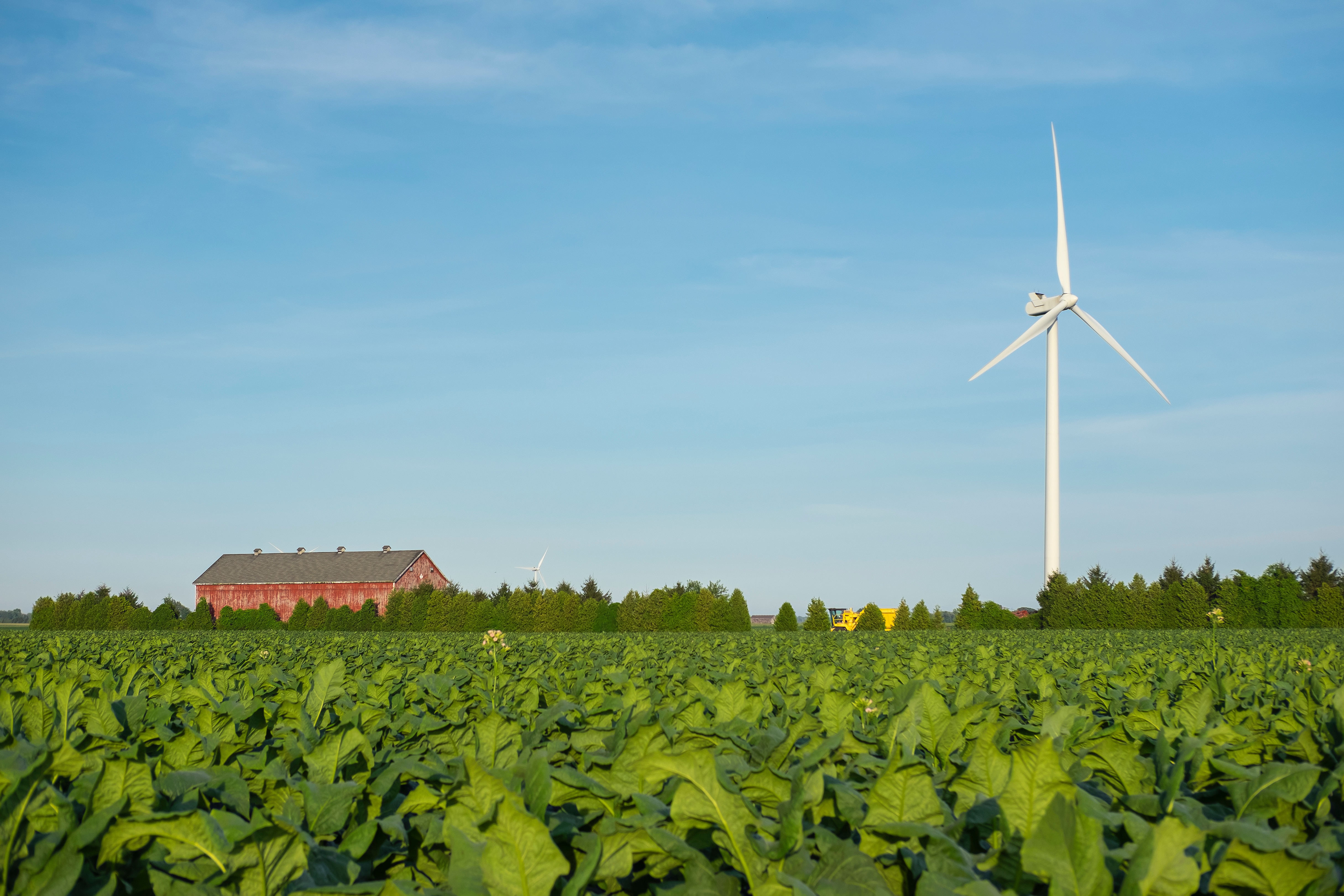 Close view of onshore horizontal axis wind turbine (windmill) in green field, deep blue sky, sunny day. Ontario Canada. Replenishable, green, renewable, alternative energy and natural sources concept., Close view of onshore horizontal axis wind turbine (windmill) in