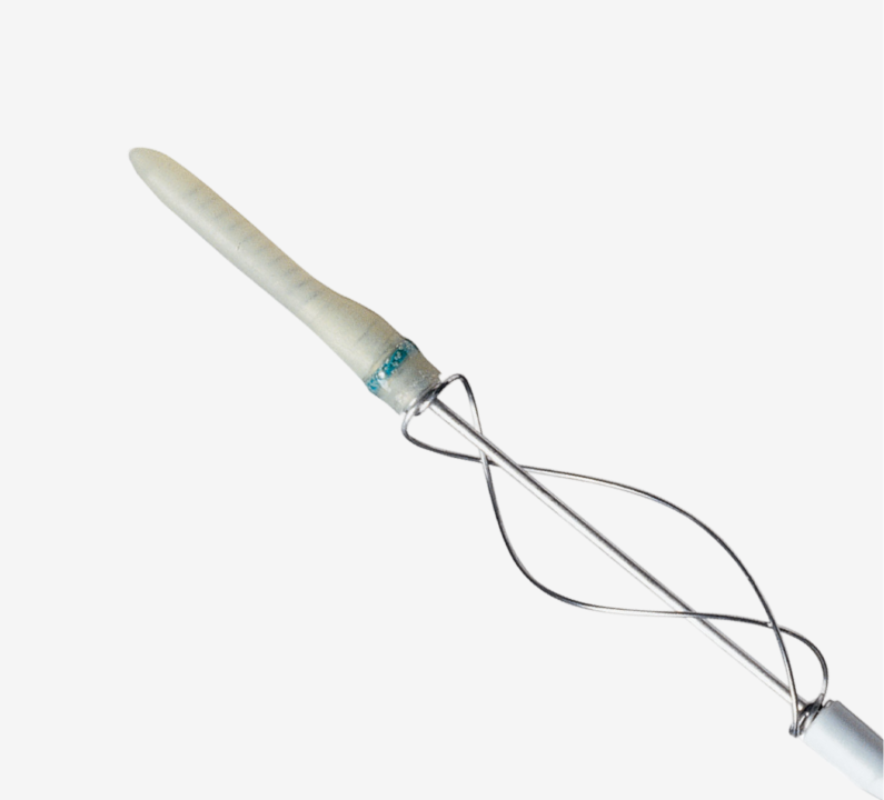 graft thrombectomy catheter