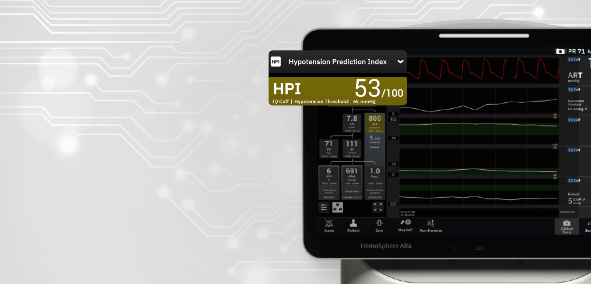 VitaWave header image