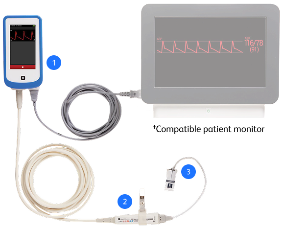 VitaWave system layout