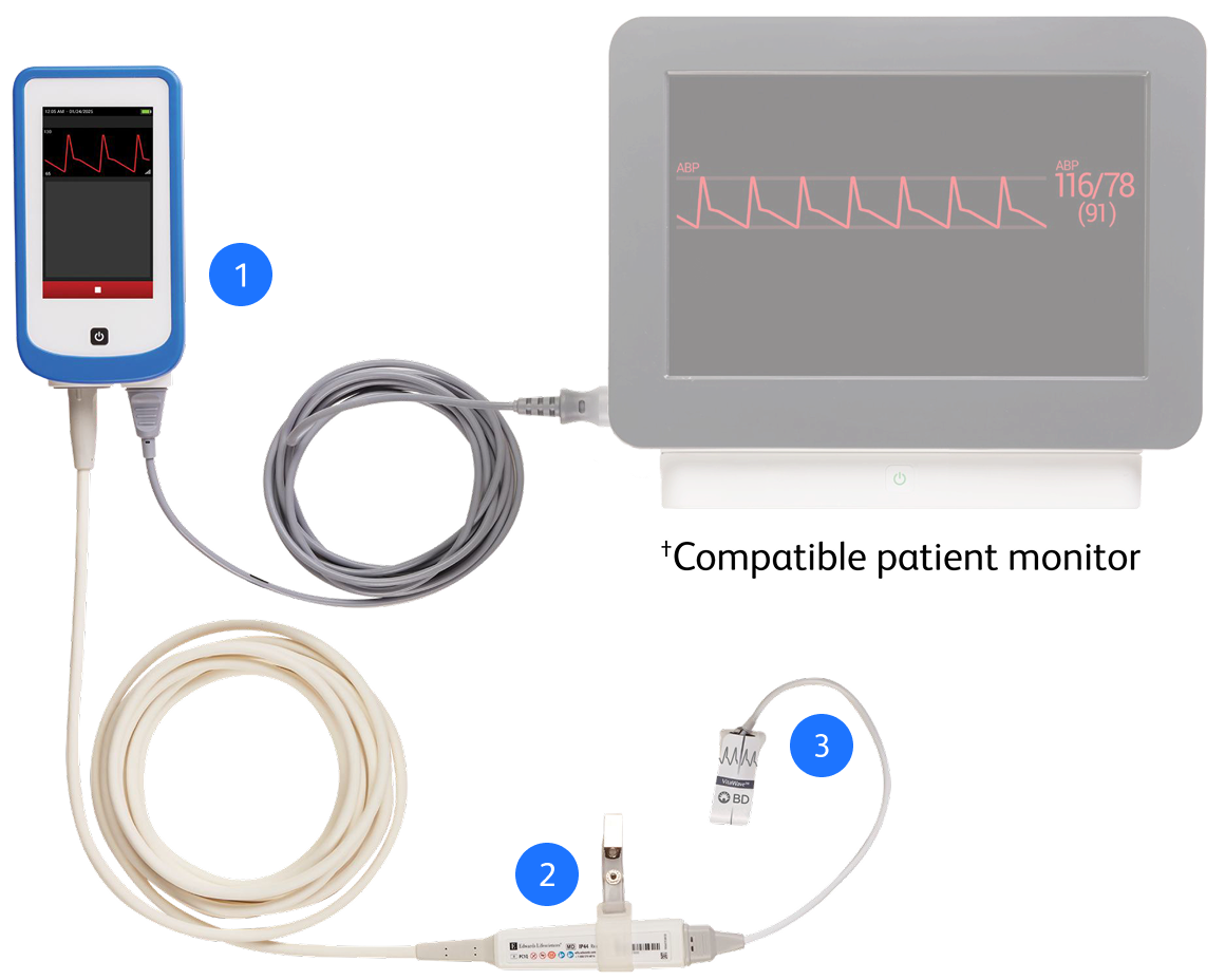 VitaWave system layout 2-2
