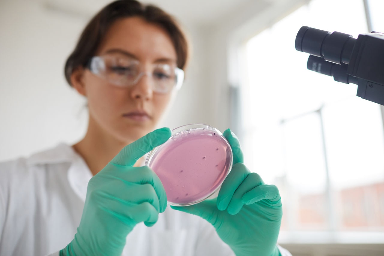 Low angle portrait of young woman holding petri dish while working on research in medical laboratory, copy space